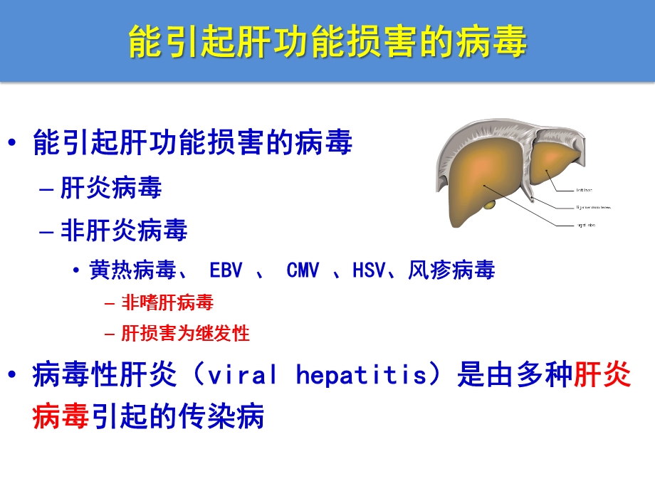 病毒性肝炎抗病毒治疗进展.ppt_第3页