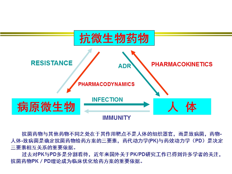 抗真菌药物的PKPD.ppt_第2页