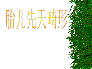 胎儿先天性畸形讲课.ppt