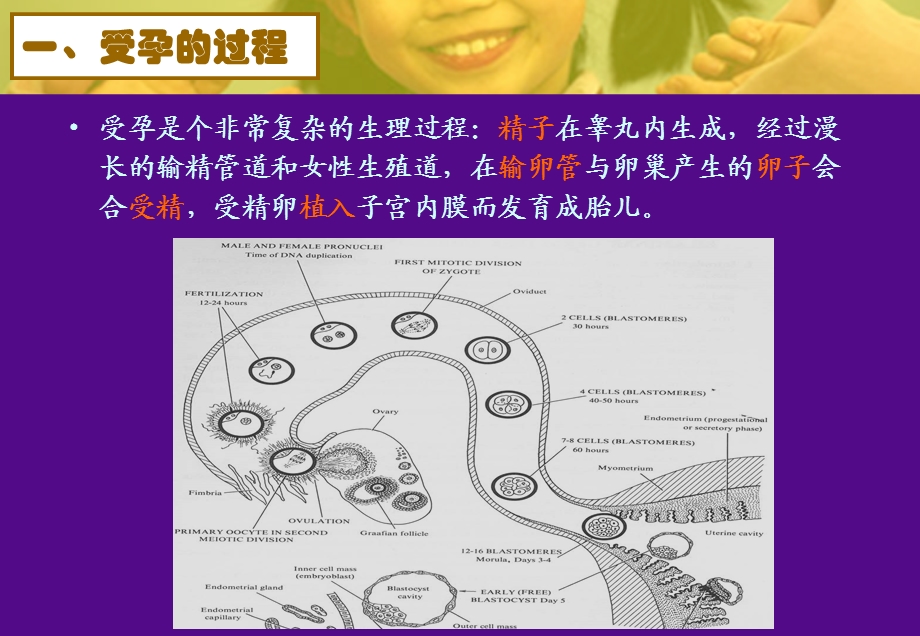 避孕方法的应用及进展(PPT56).ppt_第2页