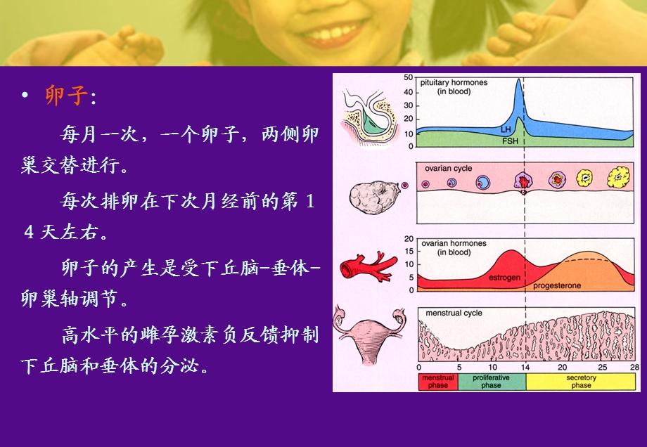 避孕方法的应用及进展(PPT56).ppt_第3页