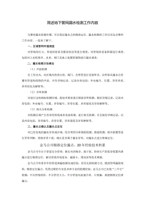 简述地下管网漏水检测工作内容.docx