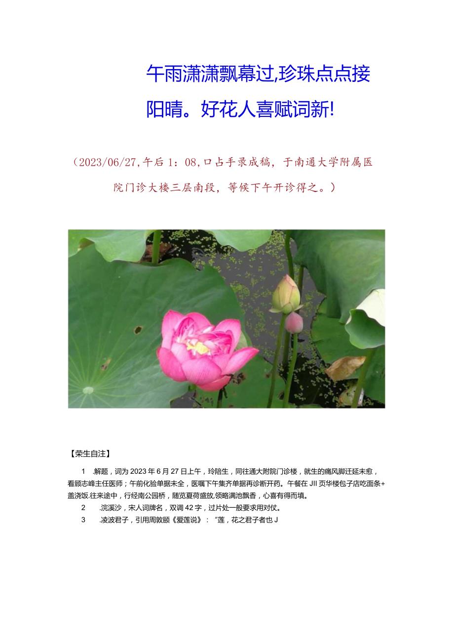 浣溪沙-痛风看医生赏荷南公园.docx_第2页