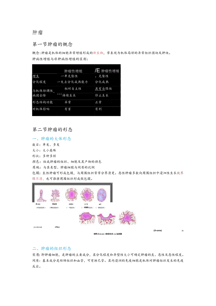 病理学整理6.肿瘤.docx_第1页