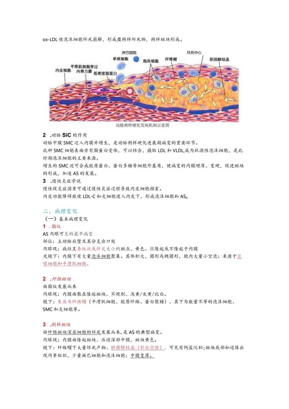 病理学整理9.心血管系统疾病.docx_第2页