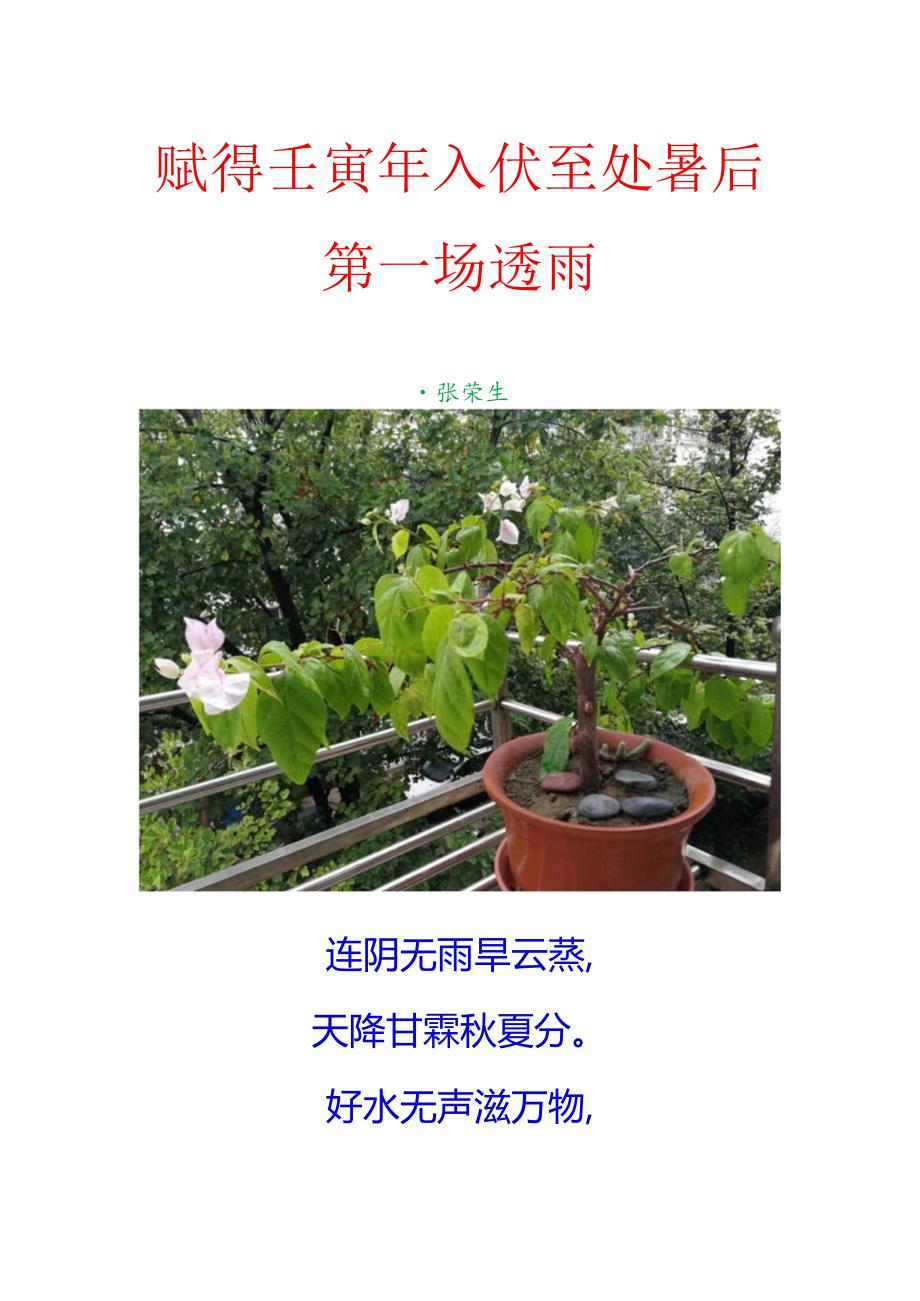 赋得壬寅年入伏至处暑后第一场透雨.docx_第1页