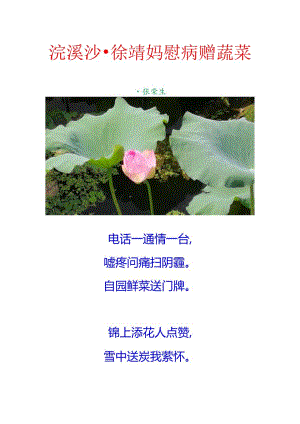 浣溪沙-徐婧妈慰病赠蔬菜.docx