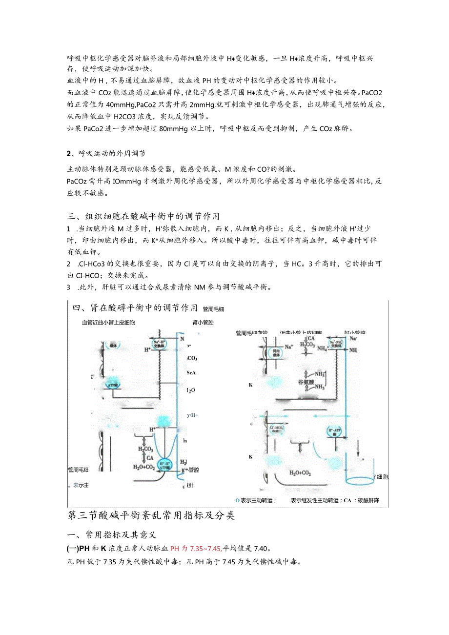 病理生理学整理4.酸碱平衡和酸碱平衡紊乱.docx_第3页