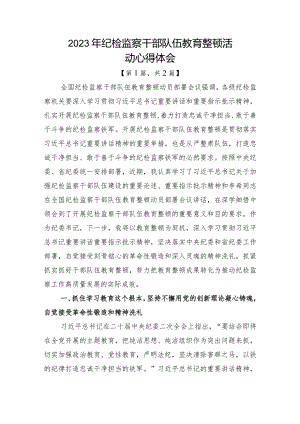 纪检监察干部队伍教育整顿心得体会-2篇.docx