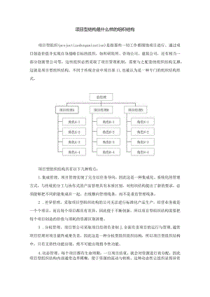 项目型结构是什么样的组织结构（杨少杰）.docx