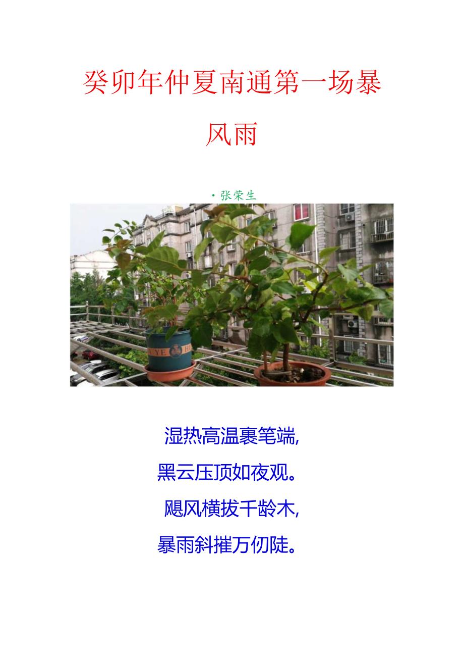 癸卯年仲夏南通第一场暴风雨.docx_第1页