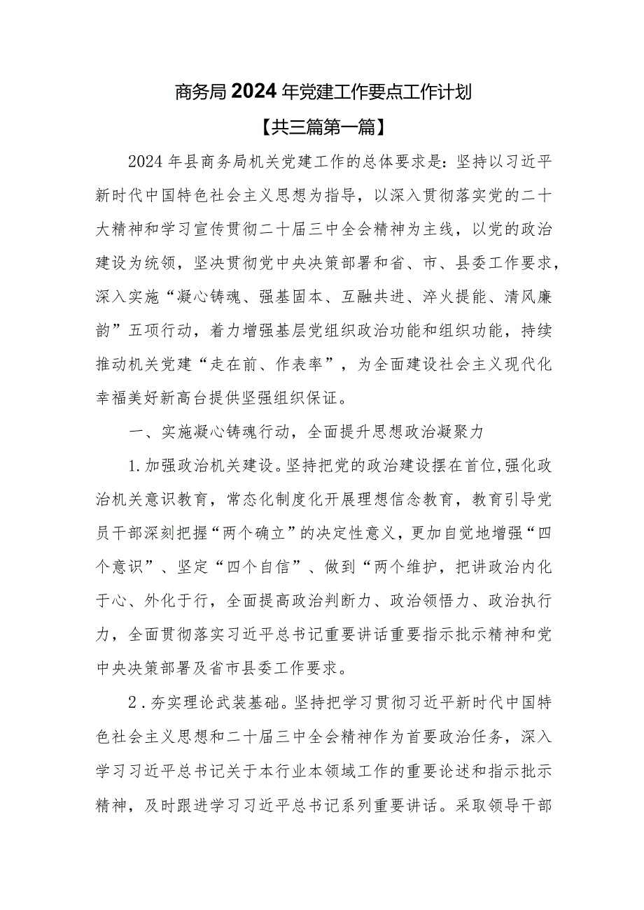 （3篇）商务局2024年党建工作要点工作计划.docx_第1页