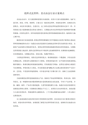 组阵式皮带秤直击冶金行业计量难点.docx