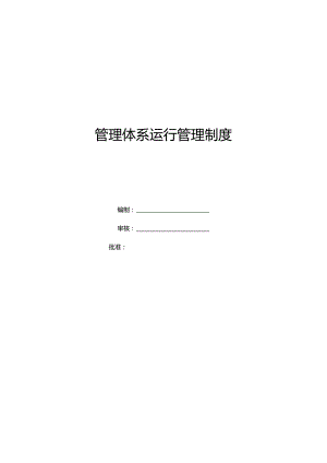 管理体系运行管理制度.docx