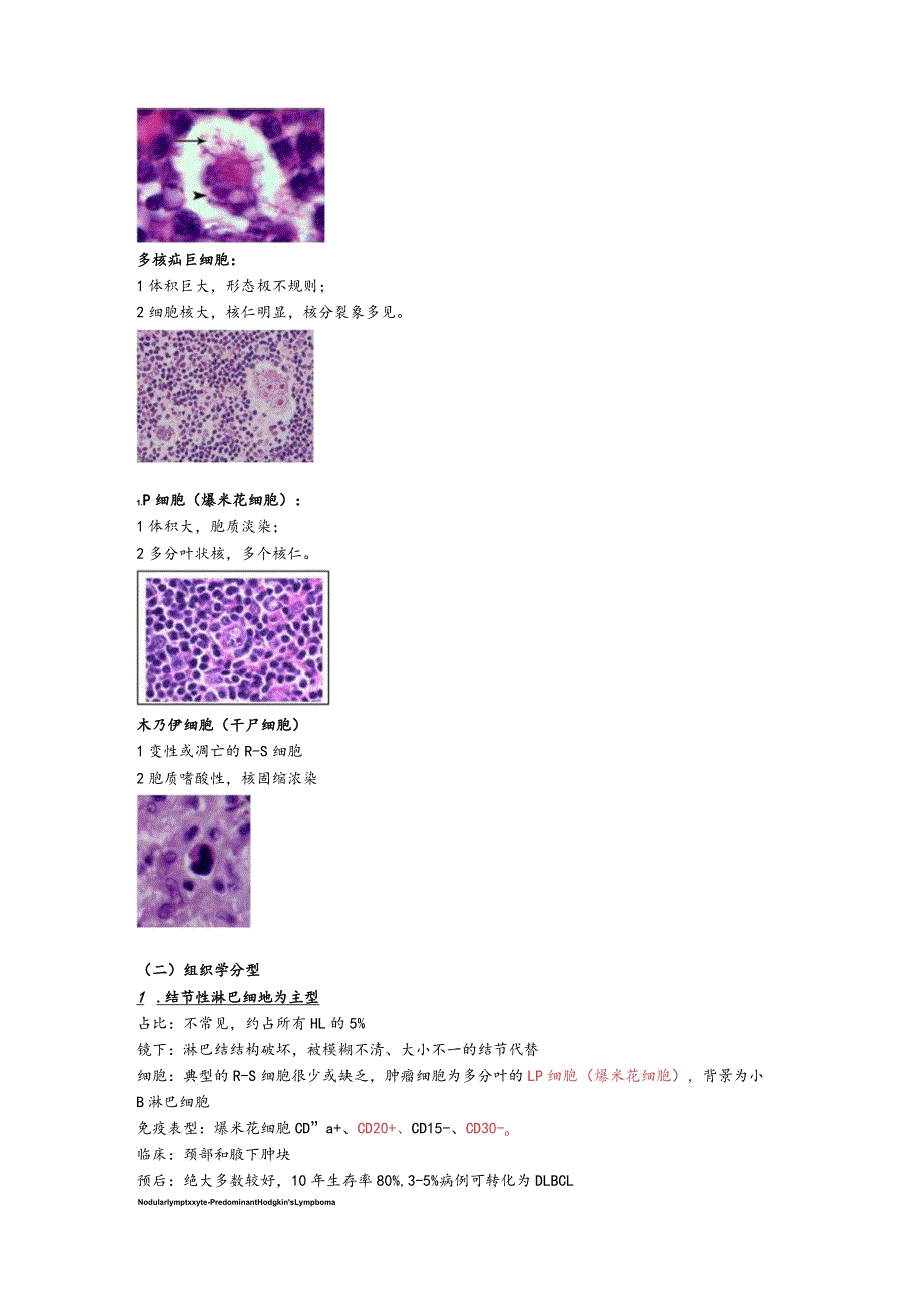 病理学12.淋巴造血系统疾病.docx_第2页