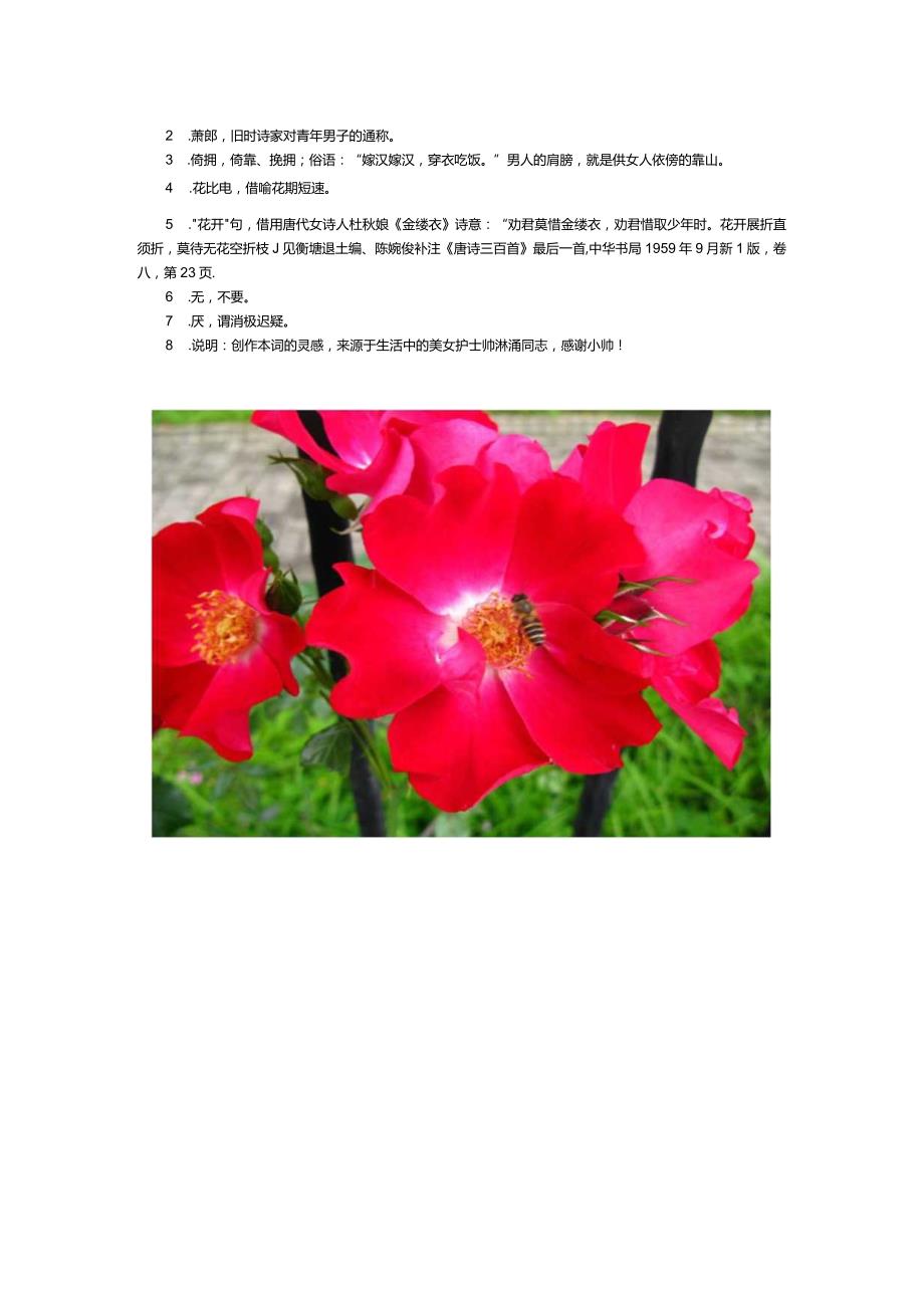 爱情诗词精选38-32. 蝶恋花-赠给帅淋滟同志.docx_第3页