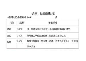 销售团队薪酬标准.docx