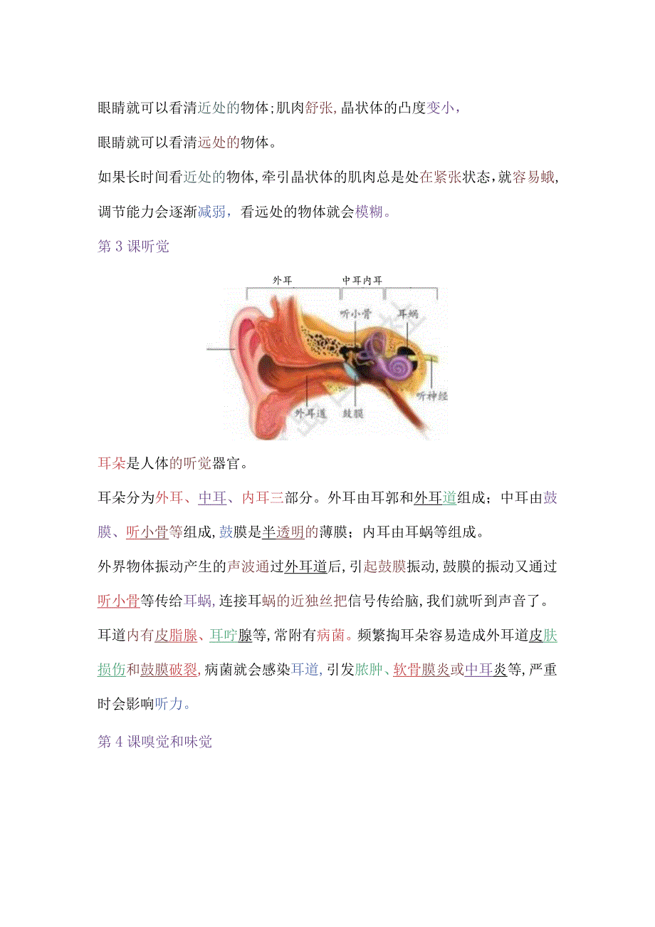 青岛版科学（2017）六年级下册填空简答题总结期末复习.docx_第2页