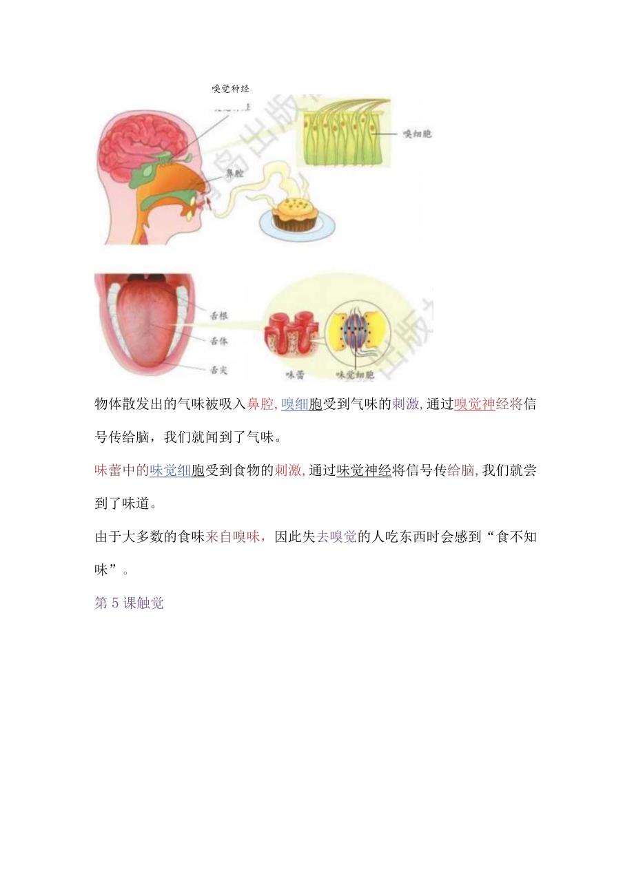 青岛版科学（2017）六年级下册填空简答题总结期末复习.docx_第3页