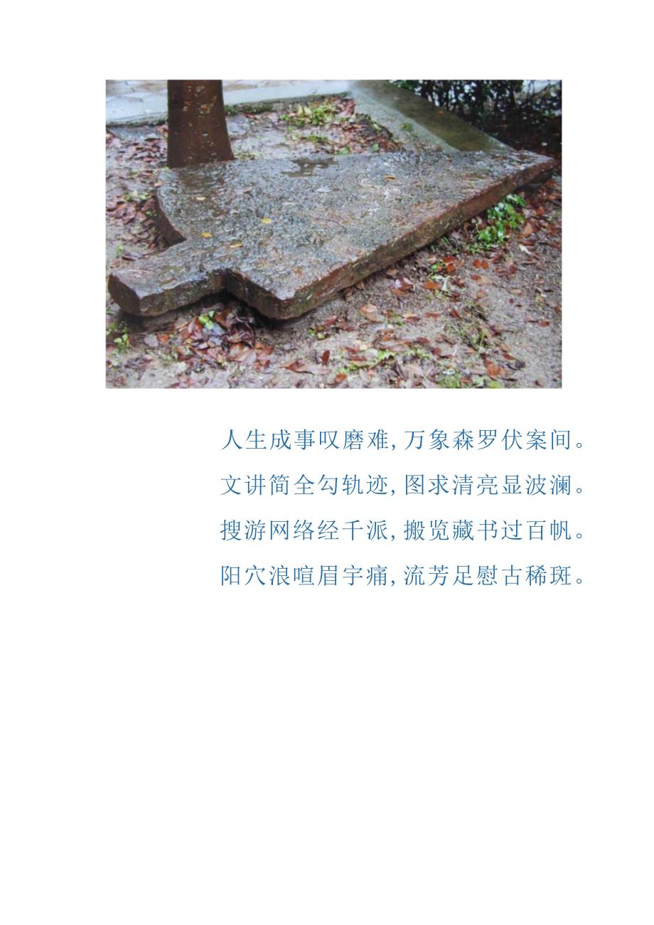 淮盐文博馆展版补文增图提素文案图库双完工倦怠有作.docx_第2页