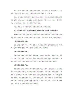 在公司党支部书记抓基层党建工作述职评议会上的点评讲话.docx