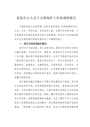 某某市人大关于文物保护工作的调研报告.docx