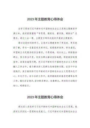 村支部书记关于第二批主题教育的心得体会八篇.docx