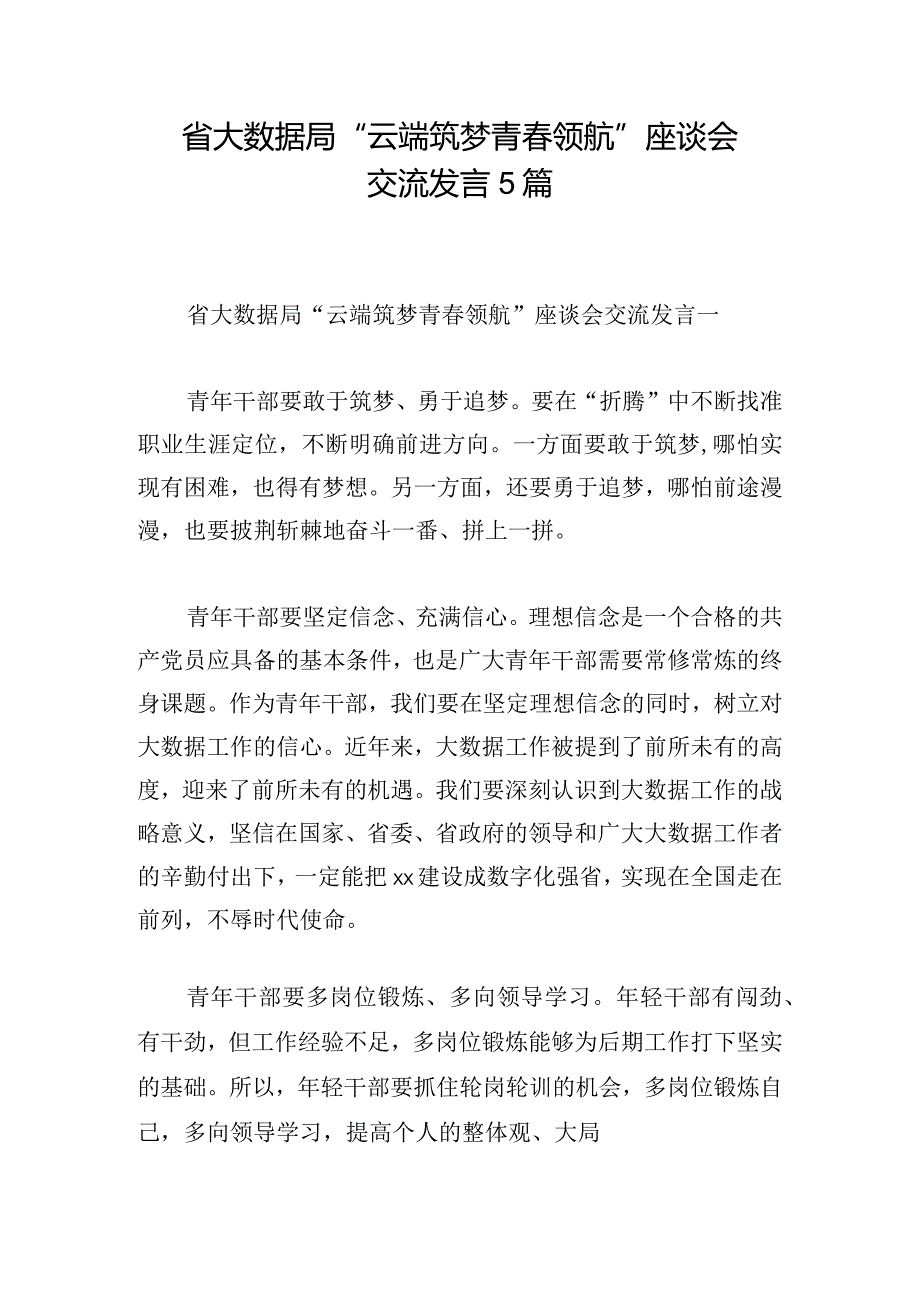 省大数据局“云端筑梦 青春领航”座谈会交流发言5篇.docx_第1页