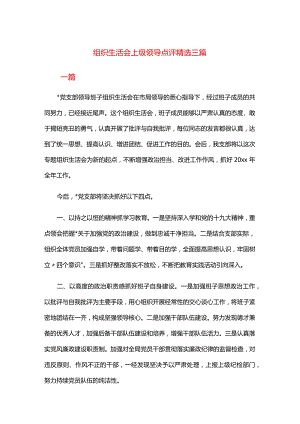 组织生活会上级领导点评精选三篇.docx