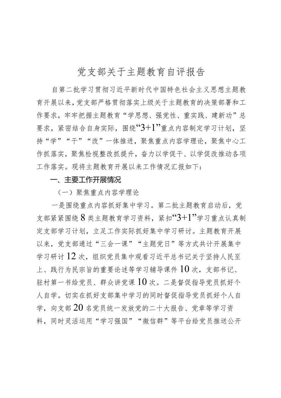 党支部关于2023-2024年度主题教育开展情况自评报告.docx_第1页