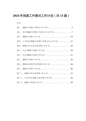 2024年党建工作要点工作计划【13篇精选】供参考.docx