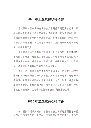 卫生院支部书记2023年主题教育心得体会八篇.docx