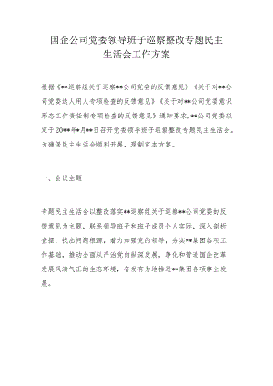 国企公司党委领导班子巡察整改专题民主生活会工作方案.docx