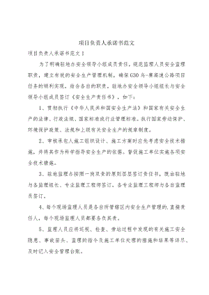 项目负责人承诺书范文.docx