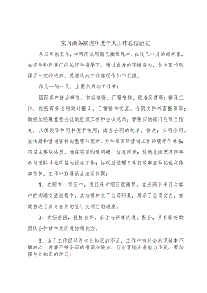 实习商务助理年度个人工作总结范文.docx