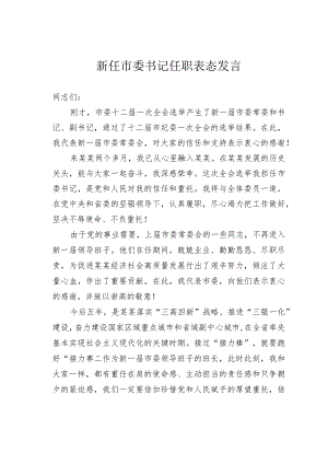 新任市委书记任职表态发言.docx