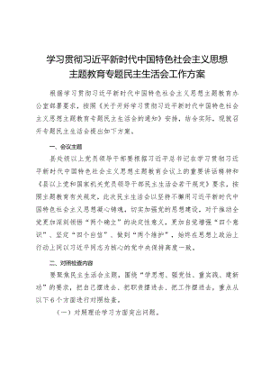 组织生活：2023主题教育专题民主生活会工作方案.docx