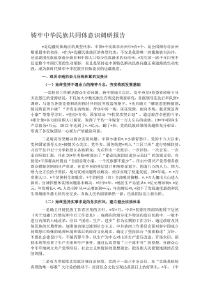 铸牢中华民族共同体意识调研报告.docx