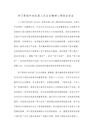 学习贯彻中央纪委三次全会精神心得体会发言.docx