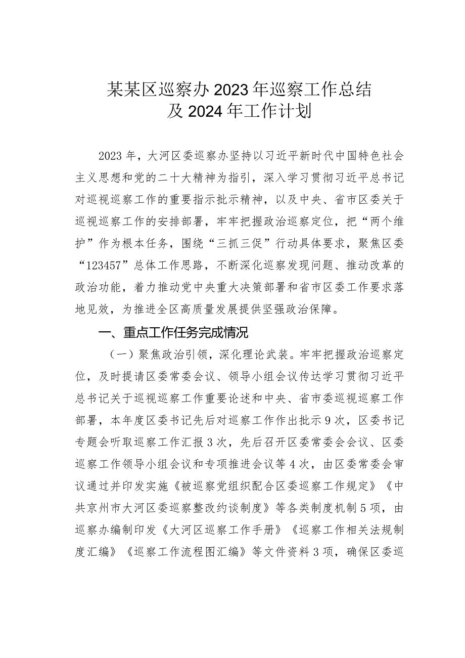 某某区巡察办2023年巡察工作总结及2024年工作计划.docx_第1页