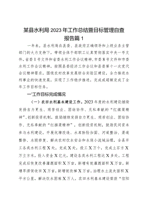 某县水利局2023年工作总结暨目标管理自查报吿2篇.docx