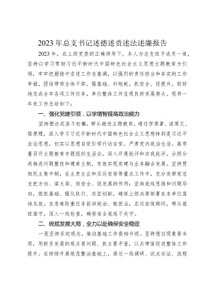 2篇2023-2024年总支书记述德述责述法述廉报告.docx