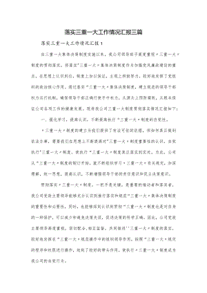 落实三重一大工作情况汇报三篇.docx