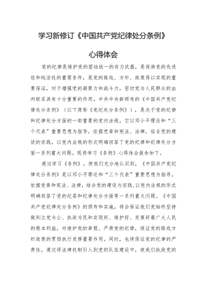 纪检干部学习新修订《中国共产党纪律处分条例》个人心得体会 （4份）.docx