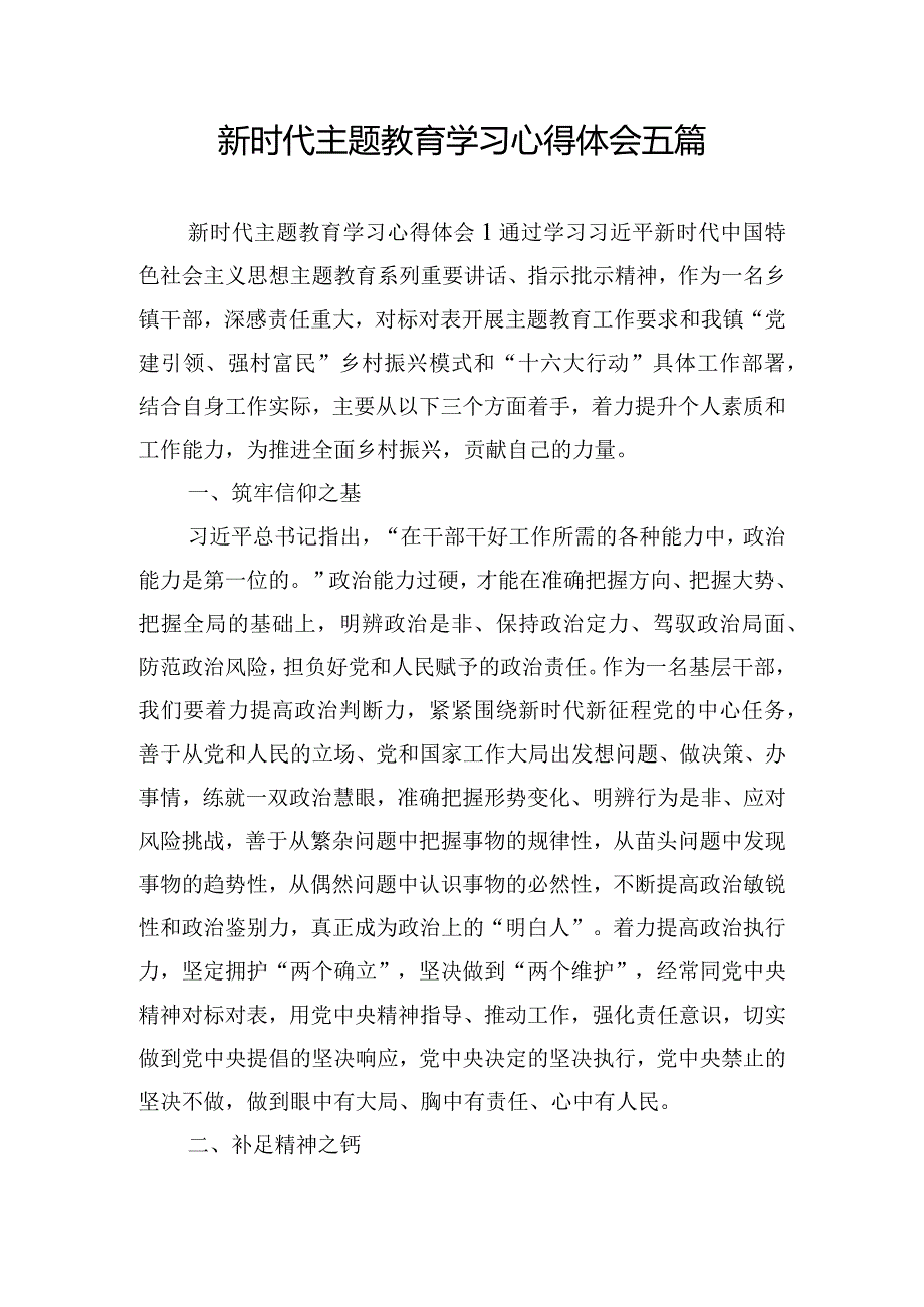 新时代主题教育学习心得体会五篇.docx_第1页