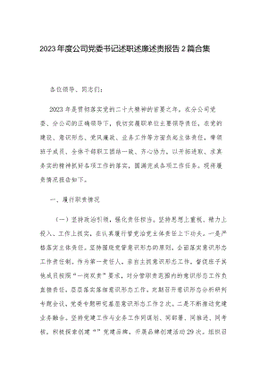 2023年度公司党委书记述职述廉述责报告2篇合集.docx