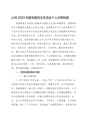 国企公司党委副书记2023-2024年度专题民主生活会六个方面班子成员个人对照检查.docx