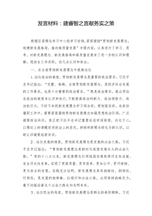 发言材料：建睿智之言 献务实之策.docx