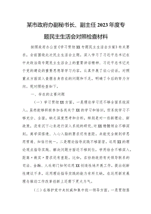 某市政府办副秘书长、副主任2023年度专题民主生活会对照检查材料.docx