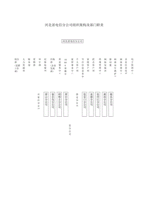 河北省电信分公司组织架构及部门职责.docx